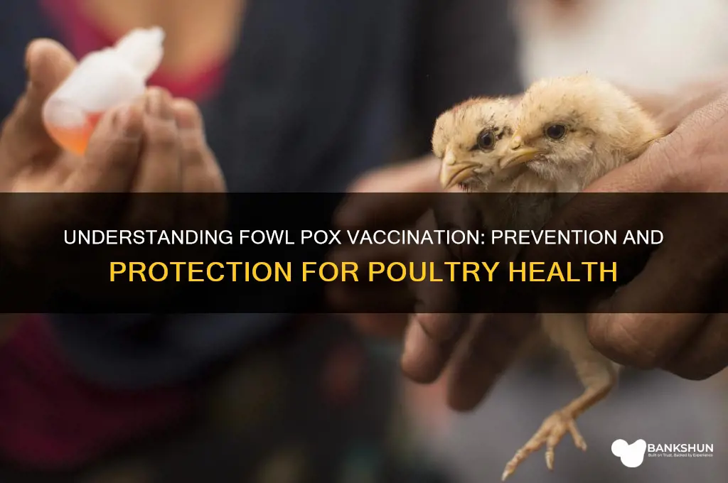 what is the vaccination for fowl pox