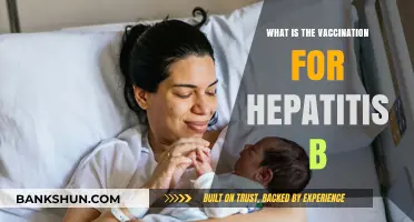 Understanding Hepatitis B Vaccination: Prevention, Protection, and Importance