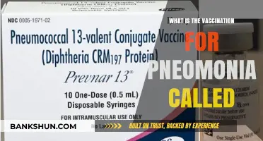 Understanding Pneumonia Vaccines: Names, Types, and Their Importance