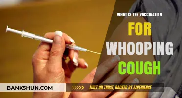 Understanding Whooping Cough Vaccination: Protection, Importance, and Effectiveness