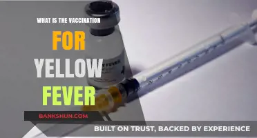 Understanding Yellow Fever Vaccination: Essential Protection and Global Requirements