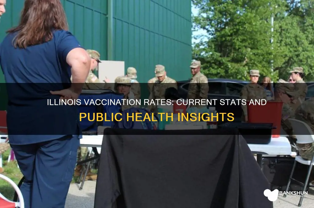 what is the vaccination rate for illinois