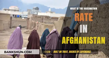 Afghanistan's Vaccination Rate: Current Status and Challenges Explained