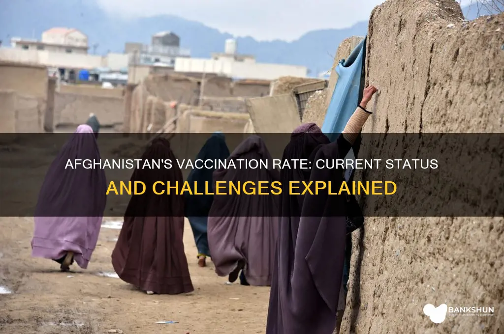 what is the vaccination rate in afghanistan