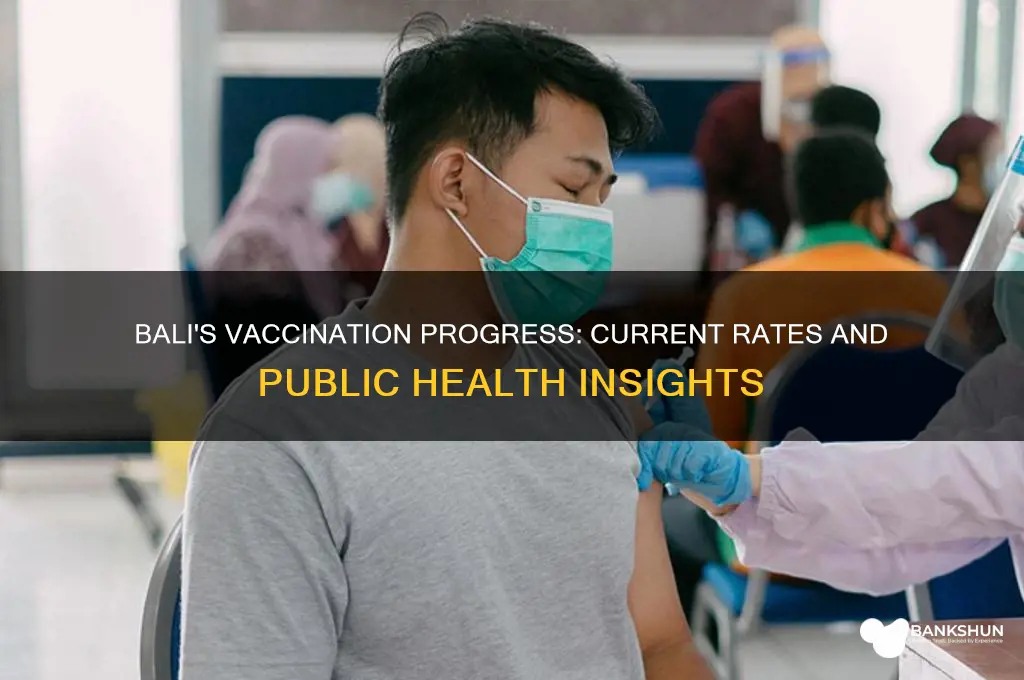 what is the vaccination rate in bali