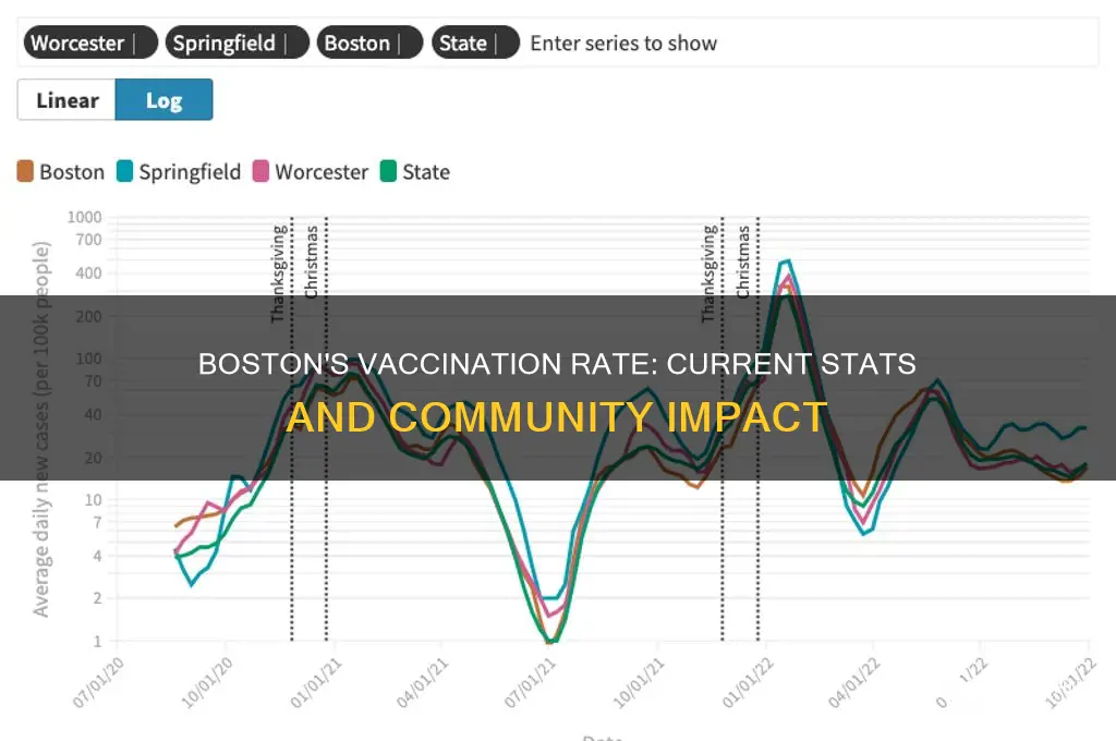 what is the vaccination rate in boston