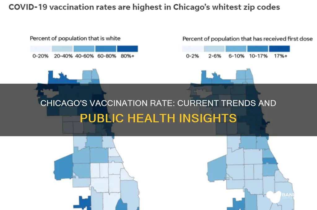 what is the vaccination rate in chicago