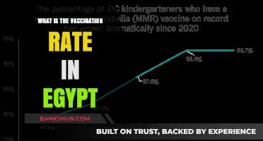 Egypt's Vaccination Progress: Current Rates and Public Health Insights