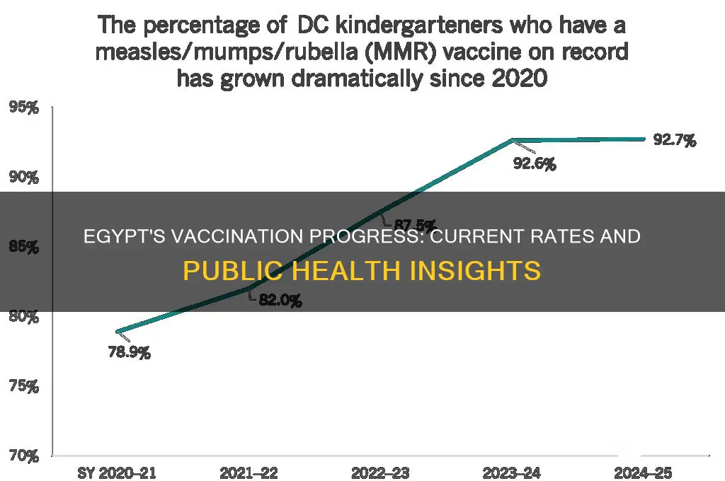 what is the vaccination rate in egypt