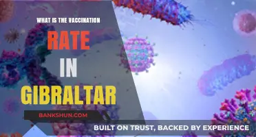 Gibraltar's Vaccination Rate: Current Stats and Public Health Insights