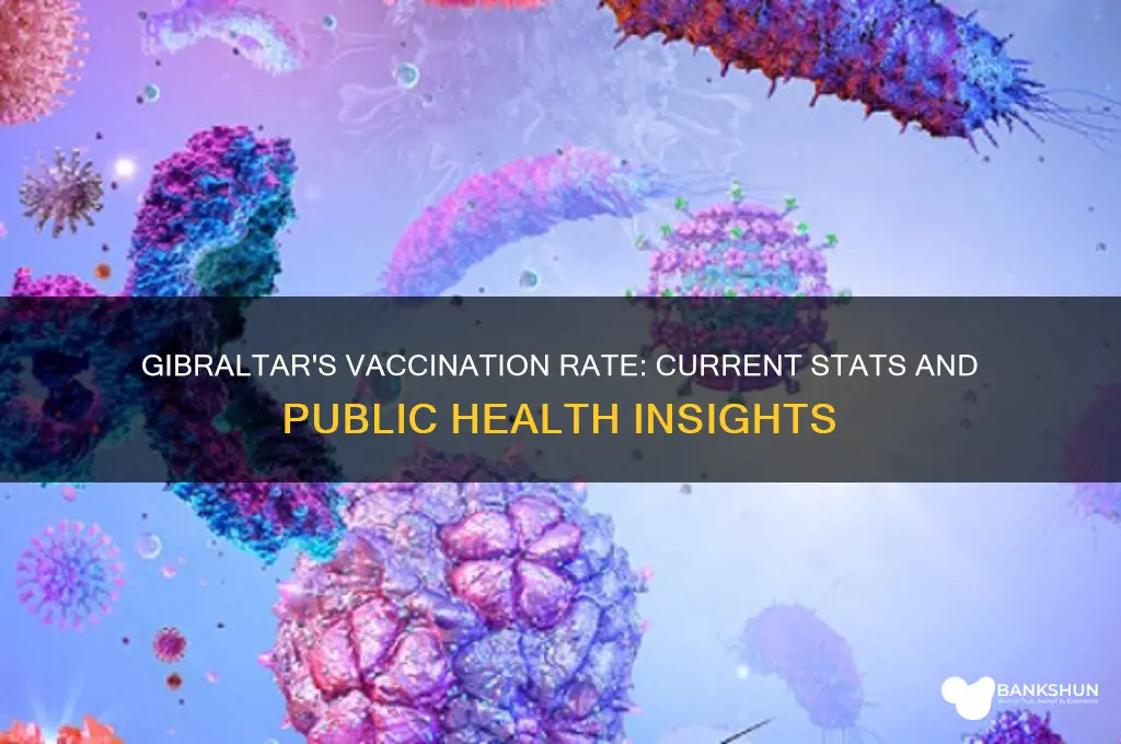 what is the vaccination rate in gibraltar