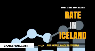Iceland's Vaccination Rate: Current Stats and Public Health Insights