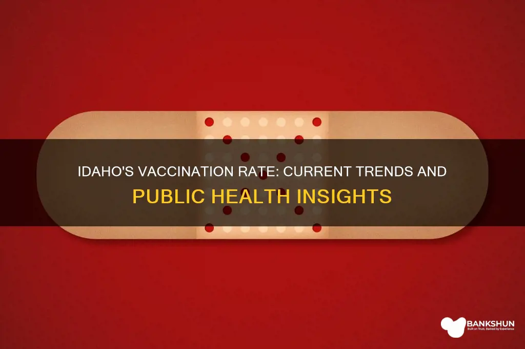 what is the vaccination rate in idaho