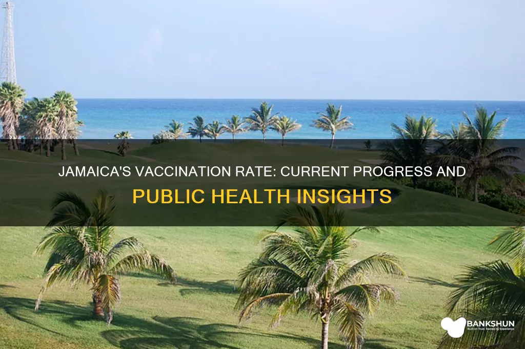 what is the vaccination rate in jamaica