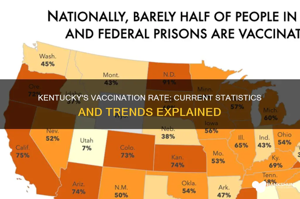 what is the vaccination rate in kentucky