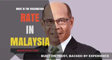 Malaysia's Vaccination Progress: Current Rates and Public Health Impact