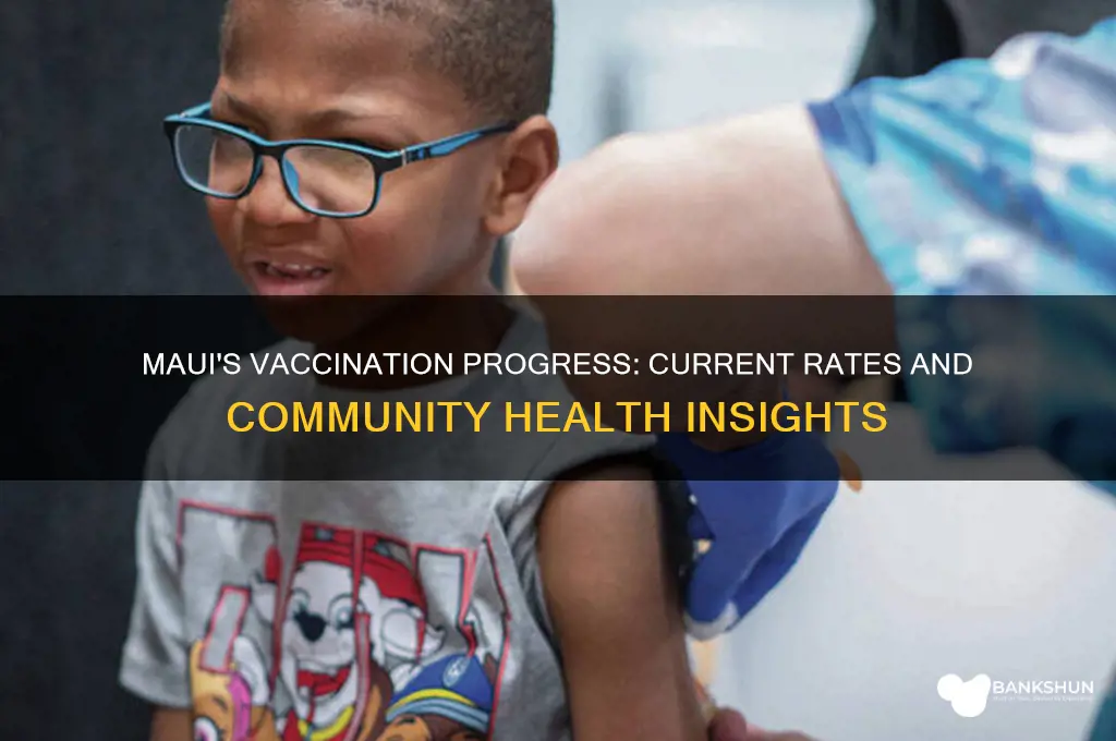 what is the vaccination rate in maui