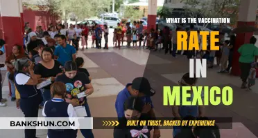 Mexico's Vaccination Progress: Current Rates and Public Health Insights