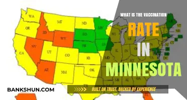 Minnesota's Vaccination Rate: Current Stats and Community Impact