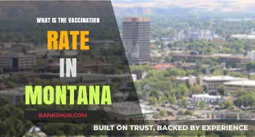 Montana's Vaccination Rate: Current Stats and Trends Explained