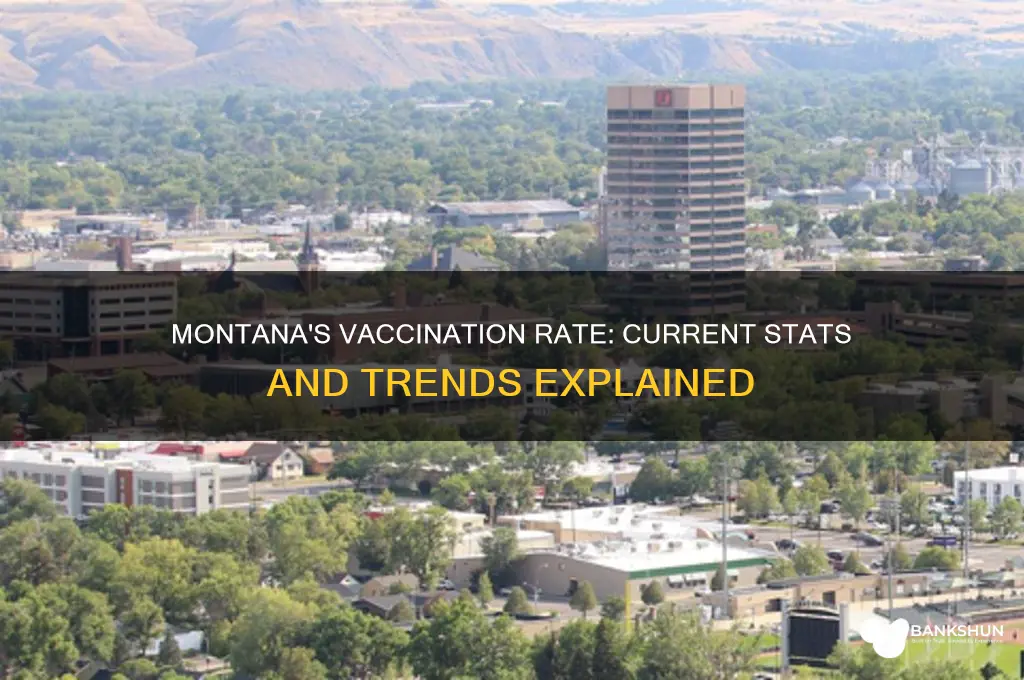 what is the vaccination rate in montana
