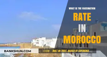Morocco's Vaccination Progress: Current Rates and Public Health Insights