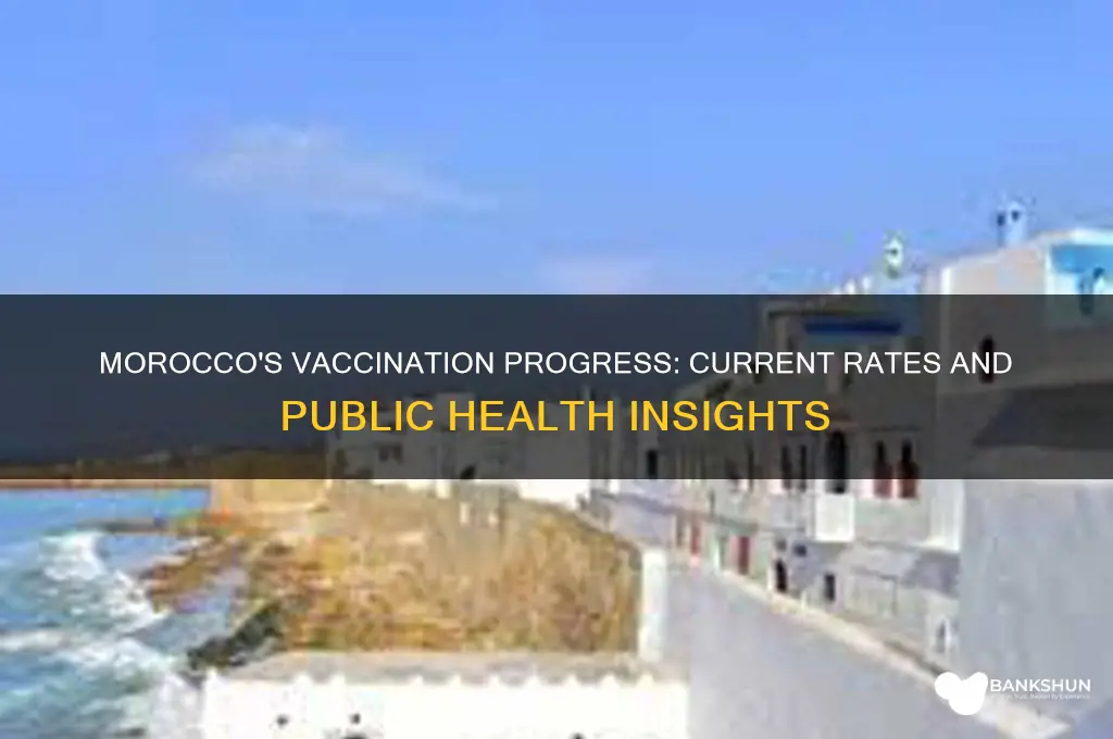 what is the vaccination rate in morocco