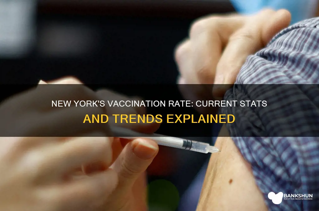 what is the vaccination rate in ny