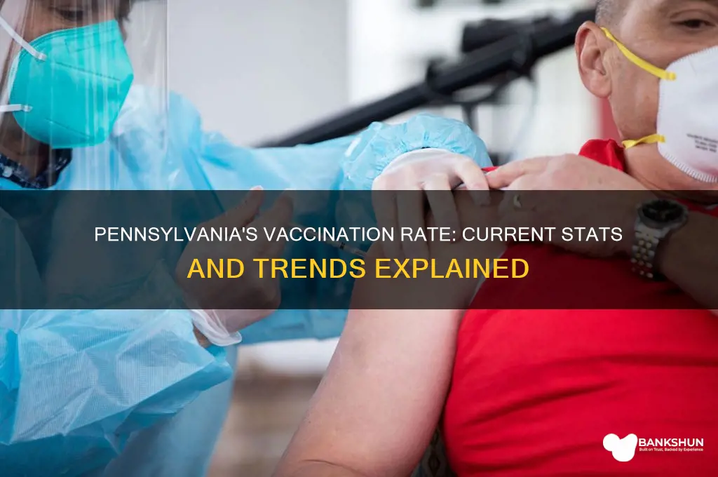 what is the vaccination rate in pennsylvania