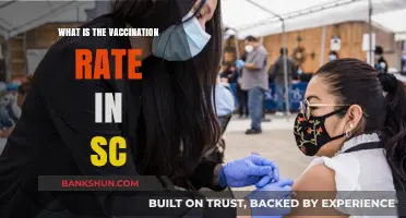 South Carolina's Vaccination Rate: Current Stats and Trends Explained