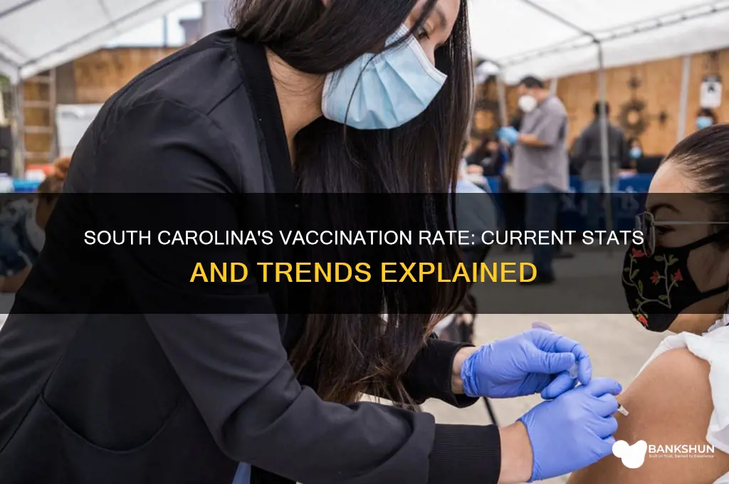what is the vaccination rate in sc
