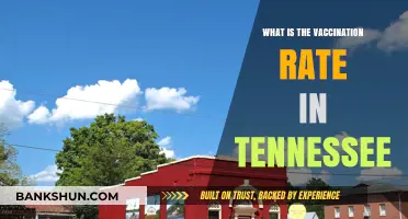 Tennessee's Vaccination Rate: Current Stats and Trends Explained
