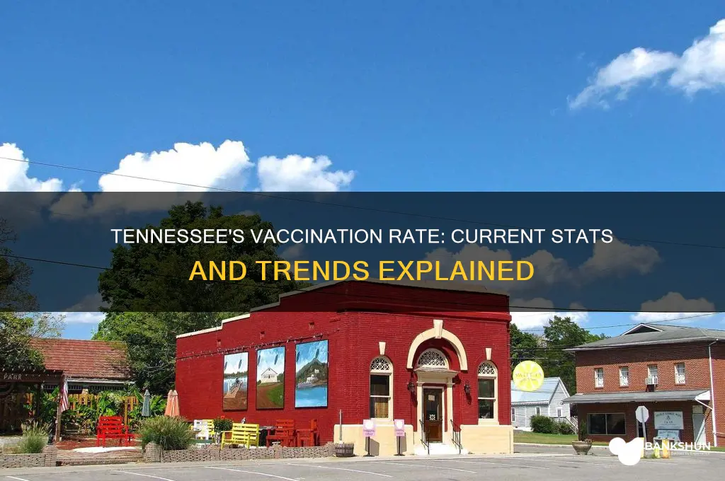 what is the vaccination rate in tennessee