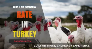 Turkey's Vaccination Rate: Current Progress and Public Health Insights