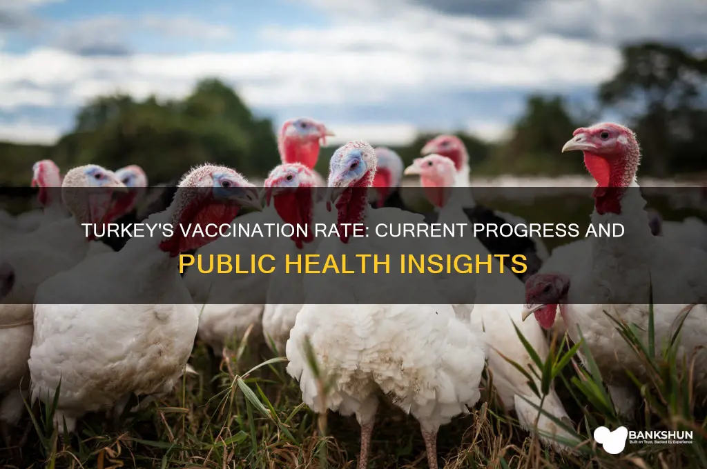 what is the vaccination rate in turkey