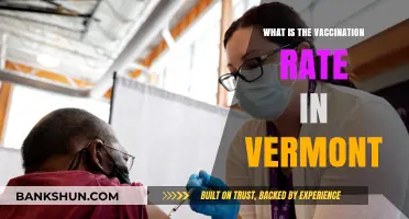 Vermont's Vaccination Rate: Current Stats and Public Health Insights