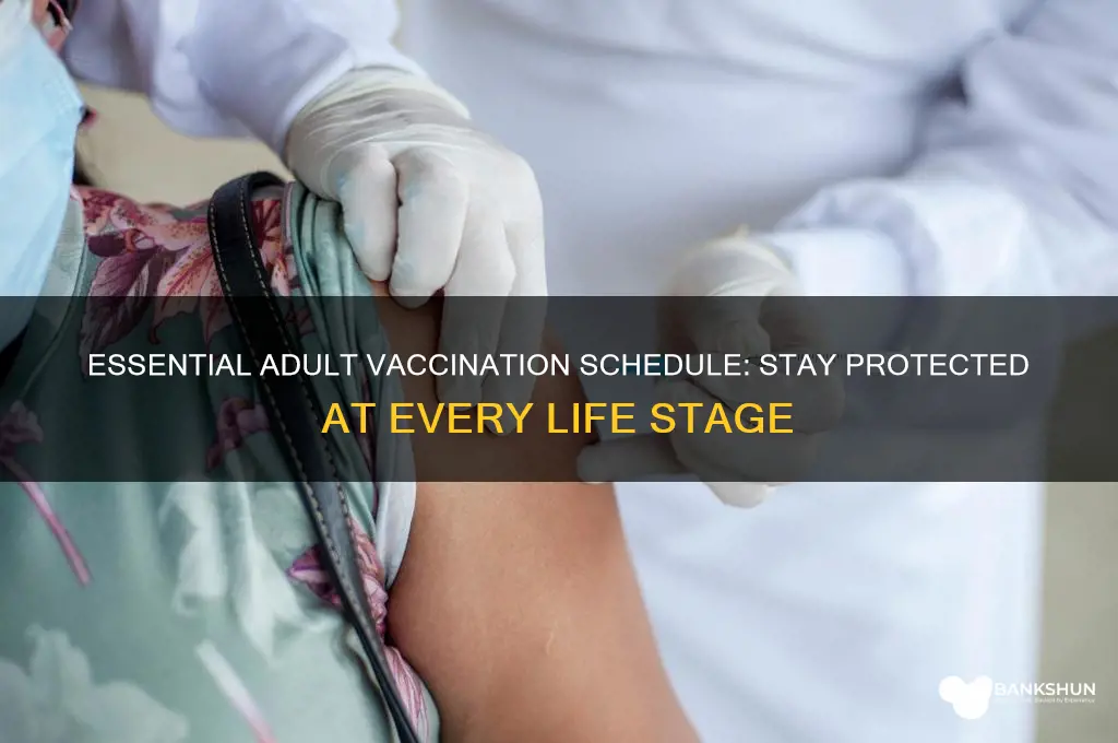 what is the vaccination schedule for adults