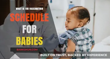 Essential Baby Vaccination Schedule: A Guide for New Parents