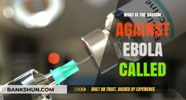 Understanding Ebola: The Name and Purpose of Its Vaccine Explained