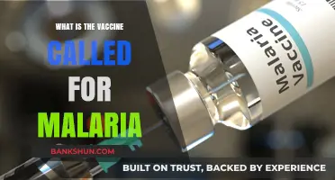 Understanding Malaria Prevention: The Name of the Malaria Vaccine