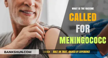 Understanding Meningococcal Vaccines: Names, Types, and Protection Explained