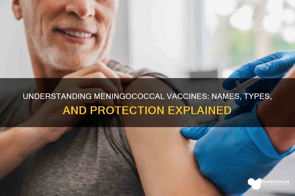 what is the vaccine called for meningococcus