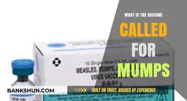 Understanding Mumps Prevention: The Name of the Mumps Vaccine Explained
