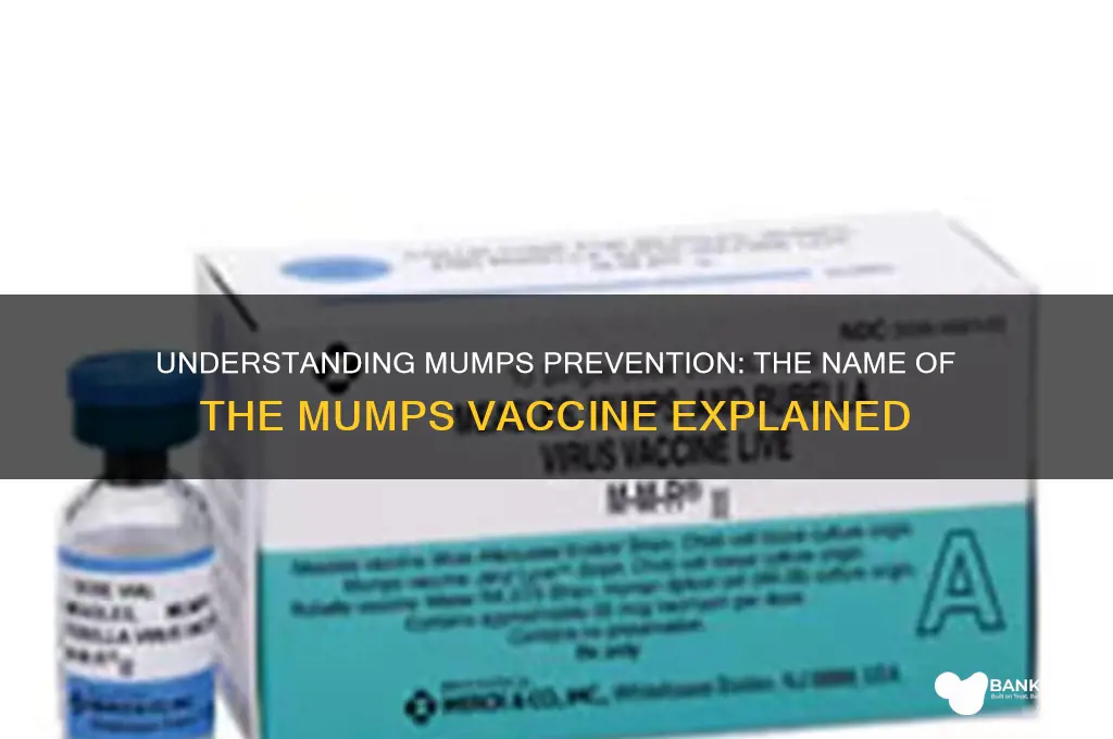 what is the vaccine called for mumps