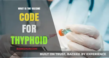 Understanding the Typhoid Vaccine Code: A Comprehensive Guide
