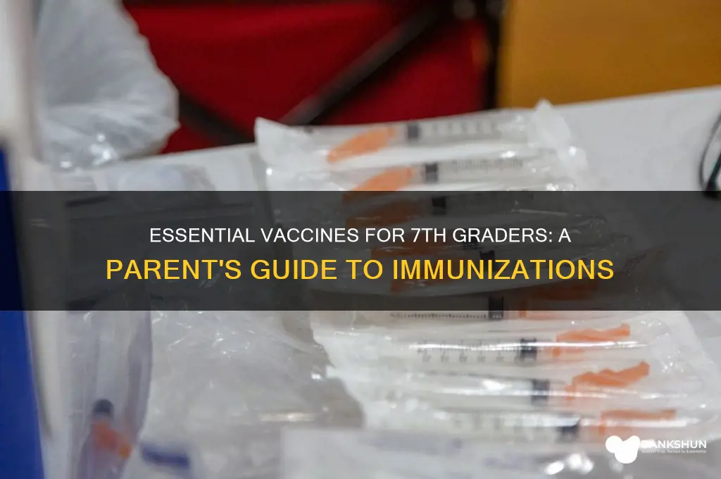 what is the vaccine for 7th grade