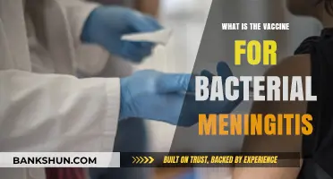 Understanding Bacterial Meningitis Vaccines: Prevention, Types, and Importance