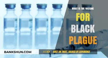 Understanding the Vaccine for Black Plague: A Comprehensive Guide
