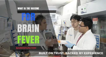 Understanding Brain Fever: Exploring the Vaccine and Prevention Strategies