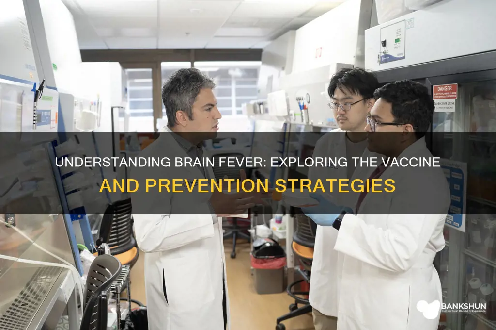 what is the vaccine for brain fever